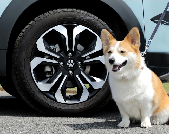 「アウトドアドッグフェスタin八ヶ岳 2021」にHonda Dogが出展しますのサブ画像5