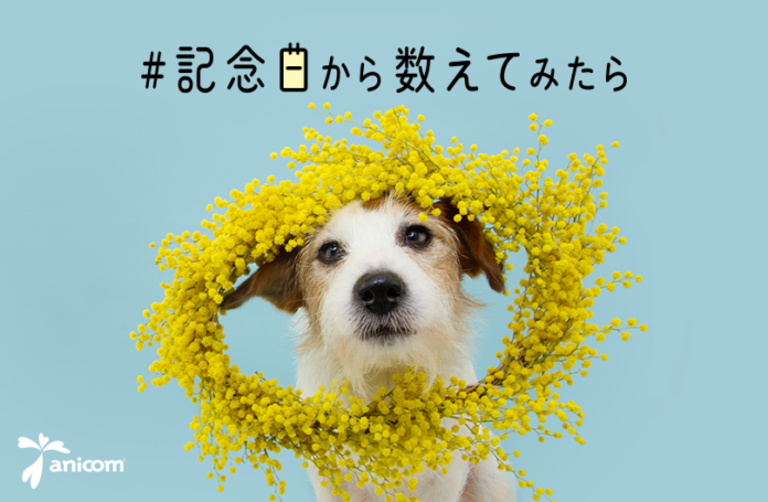 ペットとの日々を大切にするための新企画