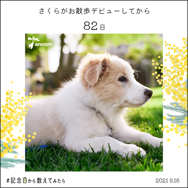 ペットとの日々を大切にするための新企画 #記念日から数えてみたらのサブ画像5_▲自由記入のパターン
