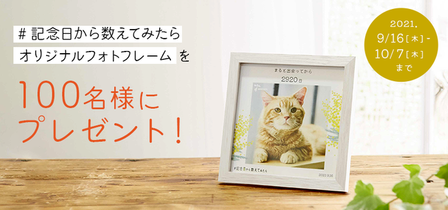 ペットとの日々を大切にするための新企画 #記念日から数えてみたらのサブ画像7