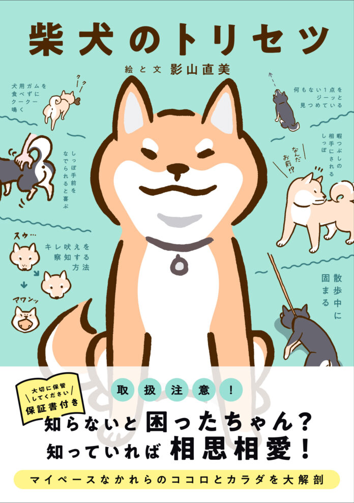 史上初の柴犬の取扱説明書が誕生！　人気イラストレーターが描く『柴犬のトリセツ』が１０月２８日に発売　のメイン画像