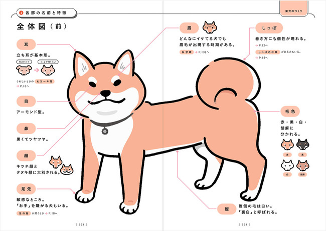 史上初の柴犬の取扱説明書が誕生！　人気イラストレーターが描く『柴犬のトリセツ』が１０月２８日に発売　のサブ画像1