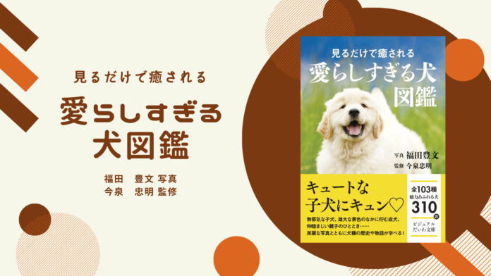 キュートな子犬にキュンキュンがとまらない！１０３種３１０匹の可愛すぎる犬を美麗な写真と共に紹介！のメイン画像