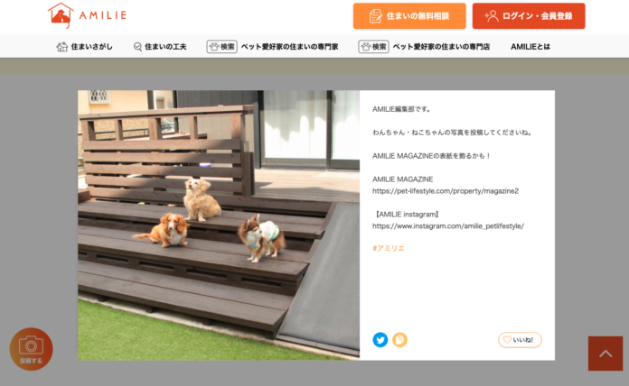 愛犬
