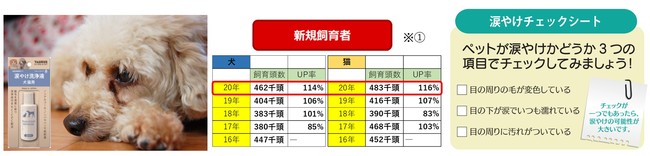 コロナ２年目 在宅時間増加で犬猫新規飼育数１１４％UP　目の周りの赤茶色のサブ画像1