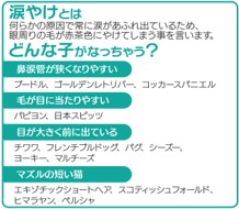 コロナ２年目 在宅時間増加で犬猫新規飼育数１１４％UP　目の周りの赤茶色のサブ画像2