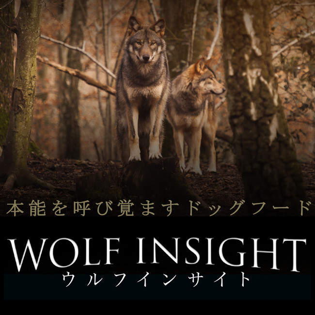 「Wolf Insight (ウルフインサイト)」65/35シリーズにて新商品を発売のサブ画像1