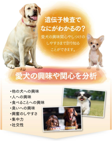 DNA FACTOR社、マキコミ社と業務提携／新商品／行動特性遺伝子検査キット ウィッチワンGENEをリリースのサブ画像3