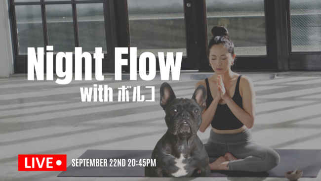 人気ヨガスタジオIGNITE YOGAが保護犬団体への支援のためのTシャツを9月22日（水）より販売スタート！のサブ画像2