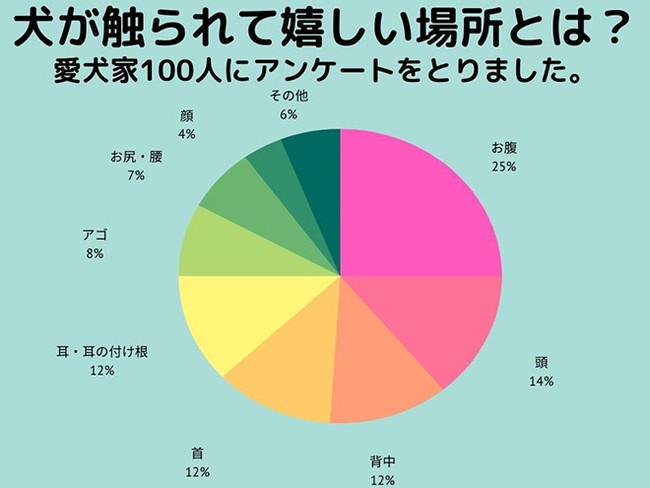 犬が触られて1番喜ぶ場所は◯◯でした・・・！愛犬家100人に愛犬が1番触られて喜ぶ場所をアンケート調査しました。のサブ画像2