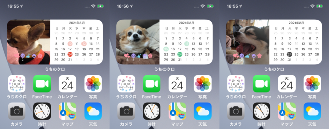 【新機能】iOSアプリ「うちのクロ」リリース1周年。『カレンダーウィジェット』機能を追加。のサブ画像1_うちのクロ／カレンダーウィジェット
