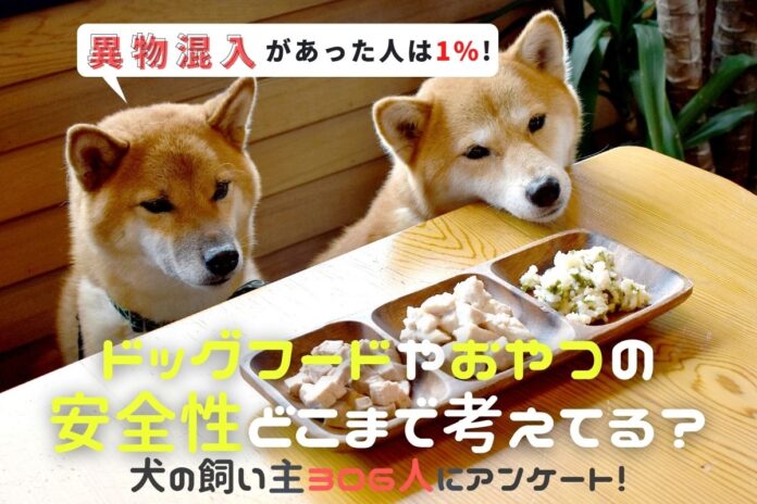 ドッグフードや犬用おやつに異物混入があった飼い主は◯％！リコール情報をチェックしない飼い主が約9割。実際、販売先に連絡した人の声も紹介【飼い主306人アンケート】のメイン画像