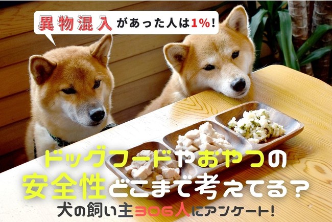 ドッグフードや犬用おやつに異物混入があった飼い主は◯％！リコール情報をチェックしない飼い主が約9割。実際、販売先に連絡した人の声も紹介【飼い主306人アンケート】のサブ画像1