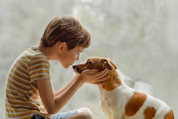 ドッグフードや犬用おやつに異物混入があった飼い主は◯％！リコール情報をチェックしない飼い主が約9割。実際、販売先に連絡した人の声も紹介【飼い主306人アンケート】のサブ画像10