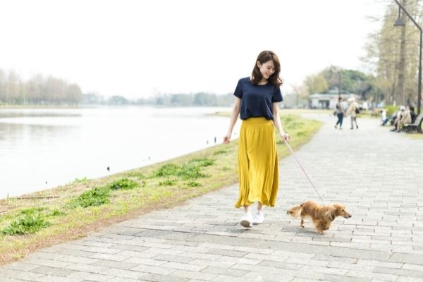 犬の飼い主のマナーが悪いと思った人は91.1%！「排泄物の処理」「ノーリード」に関する意見が多数。好感が持てる飼い主のエピソードも…！【338人アンケート】のサブ画像11