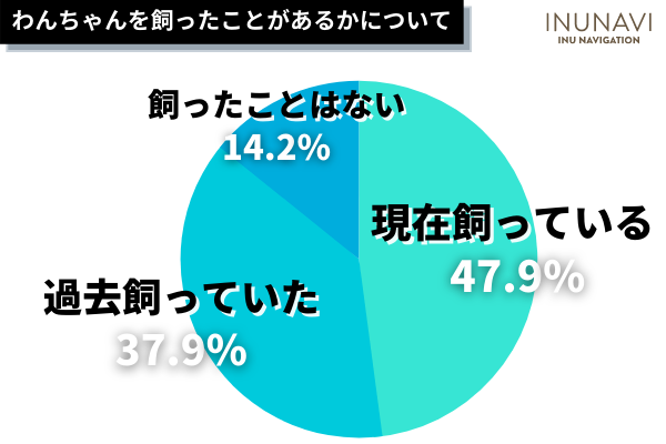 犬の飼い主のマナーが悪いと思った人は91.1%！「排泄物の処理」「ノーリード」に関する意見が多数。好感が持てる飼い主のエピソードも…！【338人アンケート】のサブ画像2