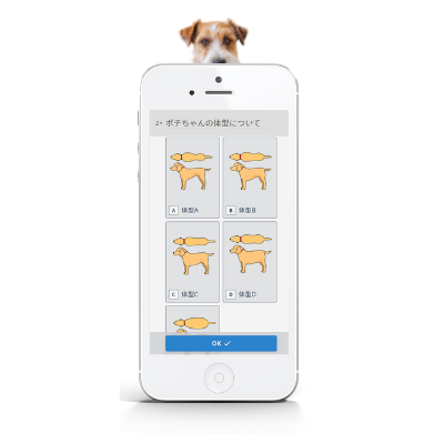 予約販売開始！あなたの愛犬だけのサプリ『topet』 -愛犬に合わせて獣医師がパーソナライズ診断-のサブ画像4