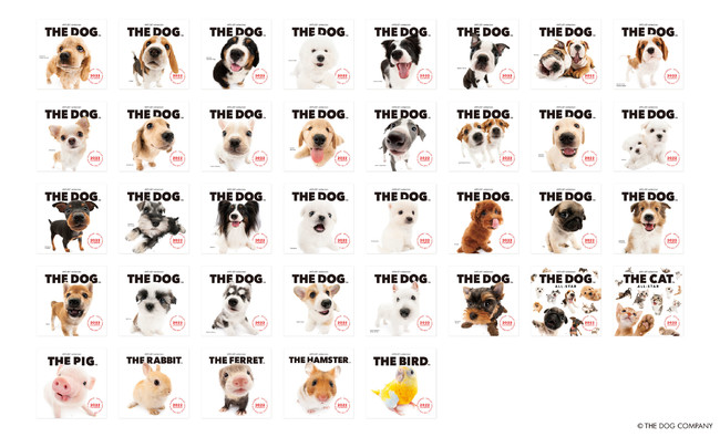 20年の歴史を持つロングセラー商品 THE DOG カレンダーが2022年版からサスティナブルに生まれ変わりましたのサブ画像13