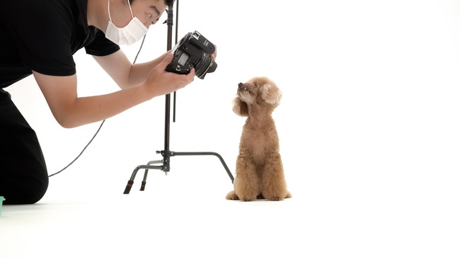 20年の歴史を持つロングセラー商品 THE DOG カレンダーが2022年版からサスティナブルに生まれ変わりましたのサブ画像9