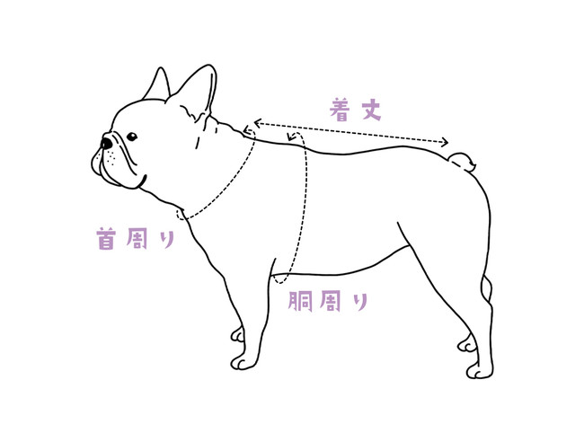 ペット衣料品として初*！衣類の制作過程で生まれる余った生地「残反（ざんたん）」を活用したサステナブルなフレンチ・ブルドッグ犬専用服を発売のサブ画像7