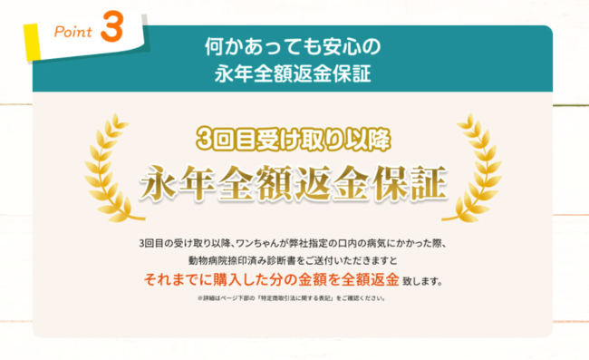 累計出荷本数32万本突破の犬用デンタルケア「Dr.WANDEL＋KANDELセット」のイメージキャラクターに森泉さんが就任！のサブ画像4