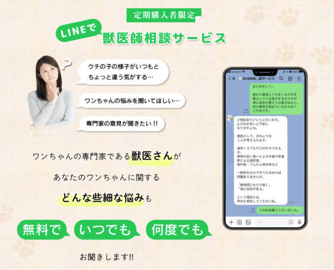 累計出荷本数32万本突破の犬用デンタルケア「Dr.WANDEL＋KANDELセット」のイメージキャラクターに森泉さんが就任！のサブ画像5
