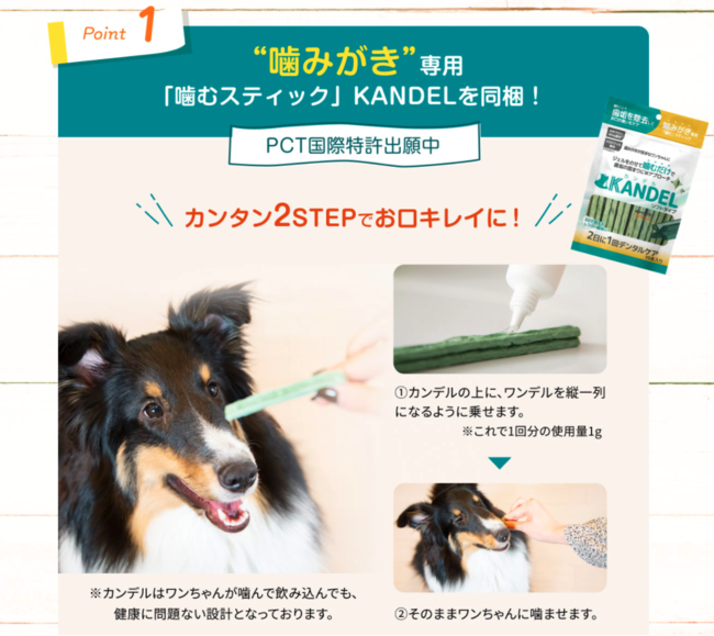 累計出荷本数32万本突破の犬用デンタルケア「Dr.WANDEL＋KANDELセット」のイメージキャラクターに森泉さんが就任！のサブ画像6