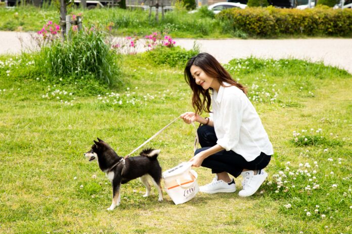 【9月10日発売】大切な愛犬とのお散歩がより楽しくおしゃれに！片手でフンをキャッチしてポイ！スマートわんキャッチのメイン画像