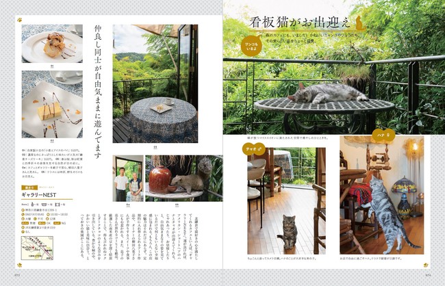 あなたを癒せる場所がここにあります　首都圏で出会う、やすらぎの空間『森のカフェと緑のレストラン』本日発売　～都会で自然を感じるカフェ、スイーツ、看板猫（ワンコも）、自家農園 etc～のサブ画像12_『森のカフェと緑のレストラン』（ぴあ）『森のカフェと緑のレストラン』（ぴあ）