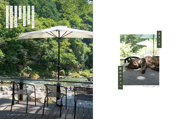 あなたを癒せる場所がここにあります　首都圏で出会う、やすらぎの空間『森のカフェと緑のレストラン』本日発売　～都会で自然を感じるカフェ、スイーツ、看板猫（ワンコも）、自家農園 etc～のサブ画像2_『森のカフェと緑のレストラン』（ぴあ）