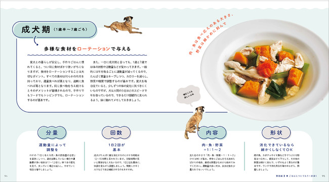 幼犬から成犬、老犬までのステージ別犬ごはんレシピをご紹介！【気軽に始めやすい、市販フードへのトッピングレシピも掲載！】のサブ画像4