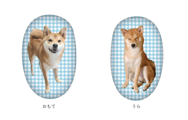 【柴犬麦×VILLAGE/VANGUARD】 ～柴犬麦のコラボグッズが10月8日（金）よりECサイト限定で発売決定！～のサブ画像5
