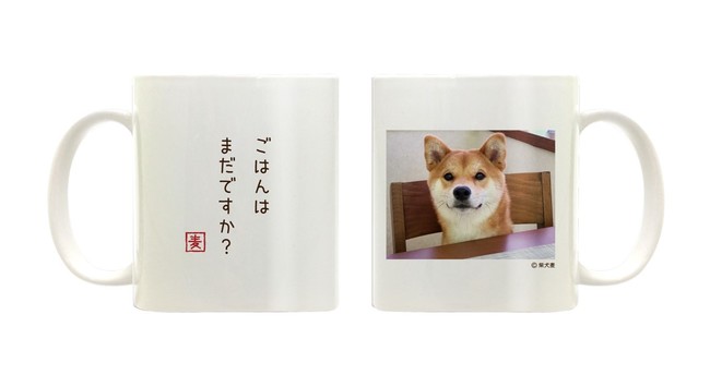 【柴犬麦×VILLAGE/VANGUARD】 ～柴犬麦のコラボグッズが10月8日（金）よりECサイト限定で発売決定！～のサブ画像7