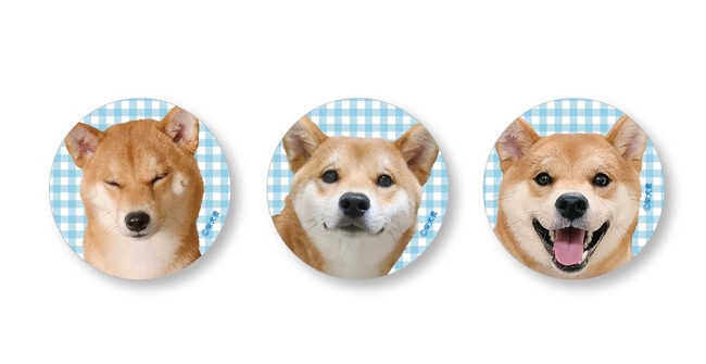 【柴犬麦×VILLAGE/VANGUARD】 ～柴犬麦のコラボグッズが10月8日（金）よりECサイト限定で発売決定！～のサブ画像8