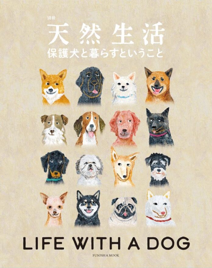 犬を飼うなら保護犬にしてみませんか？　保護犬との暮らしを語った15名のインタビューのメイン画像