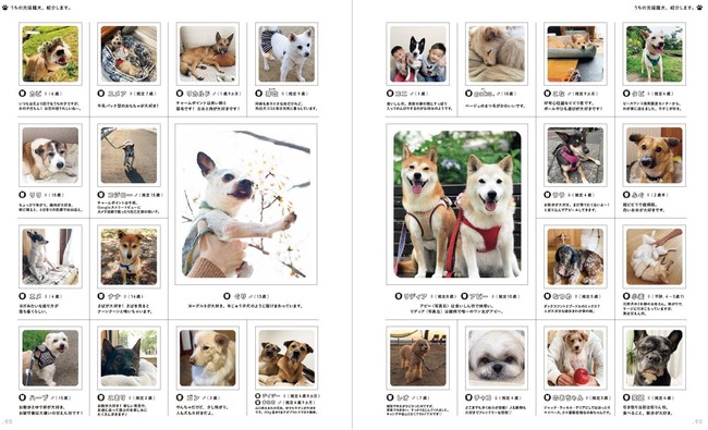 犬を飼うなら保護犬にしてみませんか？　保護犬との暮らしを語った15名のインタビューのサブ画像4_『天然生活』読者から寄せられた「うちの元保護犬、紹介します。」というコーナーも。愛情たっぷりに育てられている”家族”たちが紹介されている