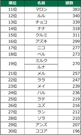 毎年恒例！　第1７回　犬の名前ランキング202１のサブ画像10
