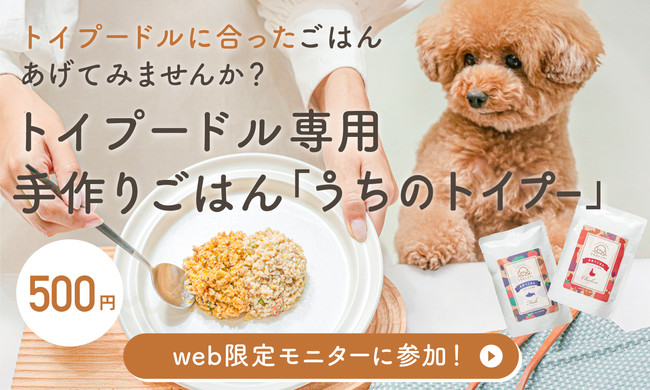 トイプードルのための手作りごはん「うちのトイプー」販売開始のサブ画像1
