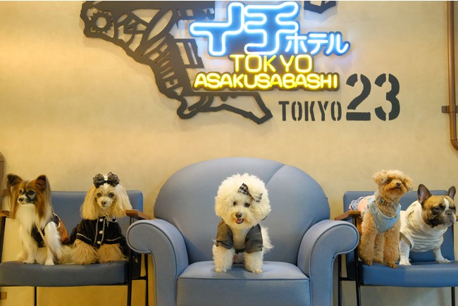 『浅草橋からホテル業界のドッグフレンドリー化を加速したい』イチホテル浅草橋がクラウドファウンディングPJ開始のサブ画像1_全館全室ワンちゃんウェルカムなイチホテル浅草橋。連日たくさんのわんちゃんでにぎわっています