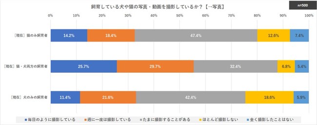犬飼育派は、他人のペット（犬や猫）の投稿写真・動画を、猫飼育派より「Instagram」で閲覧する傾向。のサブ画像2_飼育している犬や猫の写真・動画撮影状況【→写真】