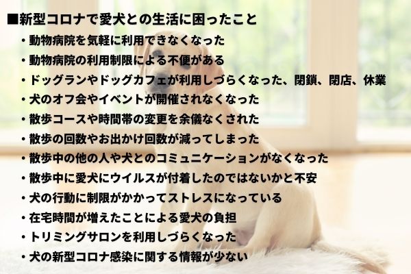 新型コロナに感染した飼い主さんの20.0％は自分で愛犬のお世話をした！困ったことは「動物病院の利用」という声も【犬の飼い主500人アンケート】のサブ画像11