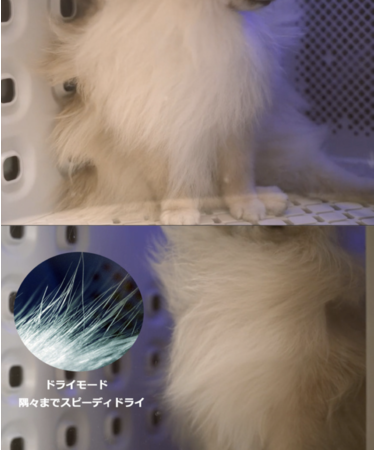 コロナ禍で変わるペットとの新生活スタイルペット用ドライヤー&エアシャワー&ハウス機能搭載！1台3役 日本製ペットドライルーム「nello」のサブ画像4