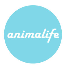 子犬販売サイト「ブリーダーナビ」が、お客様に支持された優良ブリーダーを表彰する「ブリーダーナビ アワード2021 autumn」を公開。のサブ画像3