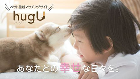 お迎え直後の飼い主の不安や悩みを、どうぶつの専門家が24時間フォロー！　ペットの里親募集サイト「hugU（ハグー）」のお迎え特典で、「anicom24」が1カ月無料にのサブ画像1