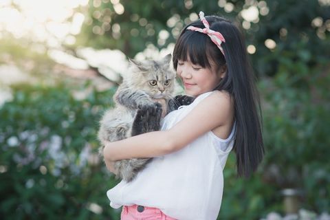 お迎え直後の飼い主の不安や悩みを、どうぶつの専門家が24時間フォロー！　ペットの里親募集サイト「hugU（ハグー）」のお迎え特典で、「anicom24」が1カ月無料にのサブ画像6
