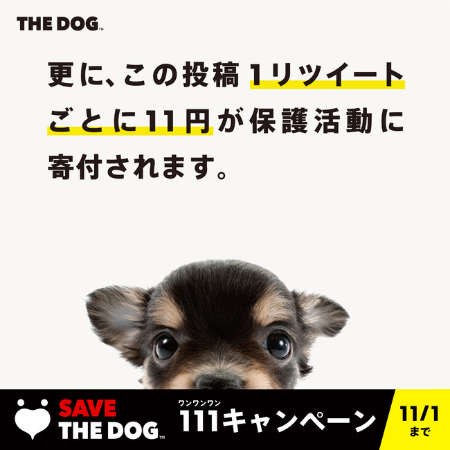 10月4日「世界動物の日」から11月1日「犬の日」までの期間中「THE DOG」公式WEBストアでのお買い物による寄付額アップ！「SAVE THE DOG PROJECT 111キャンペーン」開催のサブ画像3