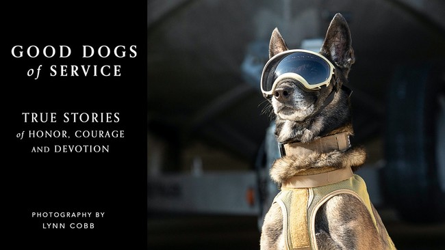 “働く犬たち”の貴重な姿を７年かけて撮影した写真集「Good Dogs of Service」のサブ画像2