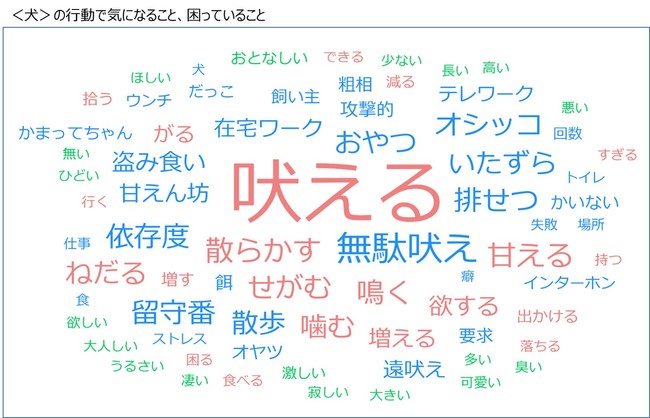 在宅時間の増加はペットにも影響が出ていた！半数近くの飼い主がペットに構いすぎてしまうと判明～ライフスタイルが変化する中、ペットとの生活で気を付けたいポイントを獣医師が解説～のサブ画像5