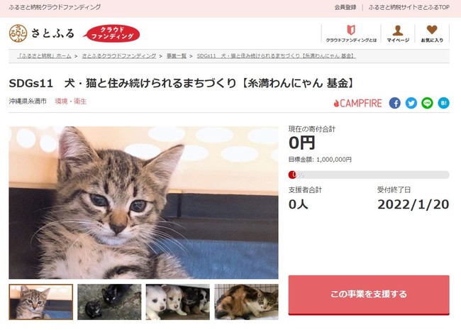 沖縄県糸満市とさとふる、犬や猫の不妊・去勢手術費用の一部を補助するため寄付受け付けを開始のサブ画像1