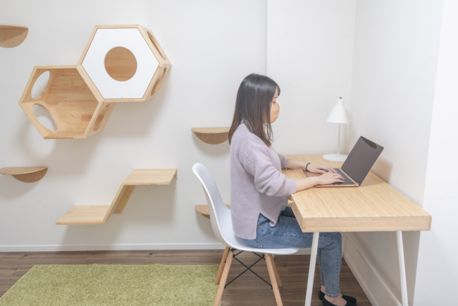 ペットと自由に暮らす、帰らない日は家賃がかからない家「PET Hills unito KAMATA」がオープンのサブ画像6